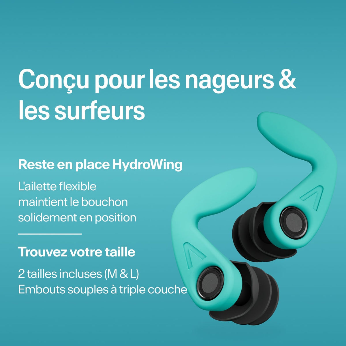 #lang_fr